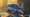 Subnautica 2 Killable Creatures mod install guide