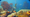 Subnautica 2 Drums Bug: No Audible Range for Non-Host Players