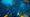 Subnautica 2 Early Access Launch Times by Region (May 14, 2026)
