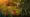 Romestead: Unlock Altar Teleportation for Fast Travel