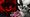 Clover Retribution Codes (May 2026) — Latest Working List
