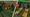 Build a Kingdom Codes (May 2026)