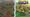 Tiny Empires Codes (May 2026)