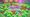 Slime Evolution Codes (May 2026) — Latest Working List
