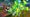 Bees Codes (May 2026) — Latest working list
