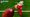 NFL Universe Football Codes (June 2026)