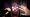 PARANORMAL Codes (June 2026)