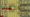 SCP Architect X Codes (June 2026)