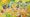 Pokémon TCG 30th Celebration: Release Date, Foil Packs, and Futuristic Rare