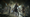 Warframe Tier List for Steel Path (June 2026)