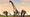 Prior Extinction Codes (June 2026)