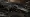 The Division 2 Y8S1 Stretch Goals: Every Rise Up Cache and Prestige Reward