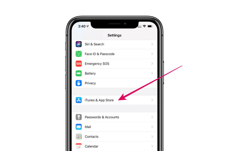 iPhone Settings Passwords & Accounts