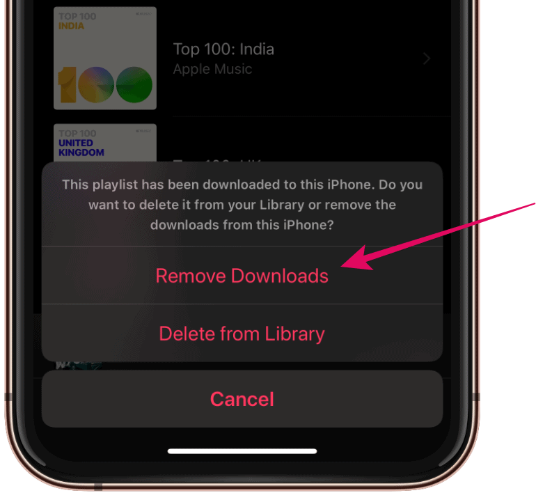 Remove Downloads Apple Music iPhone