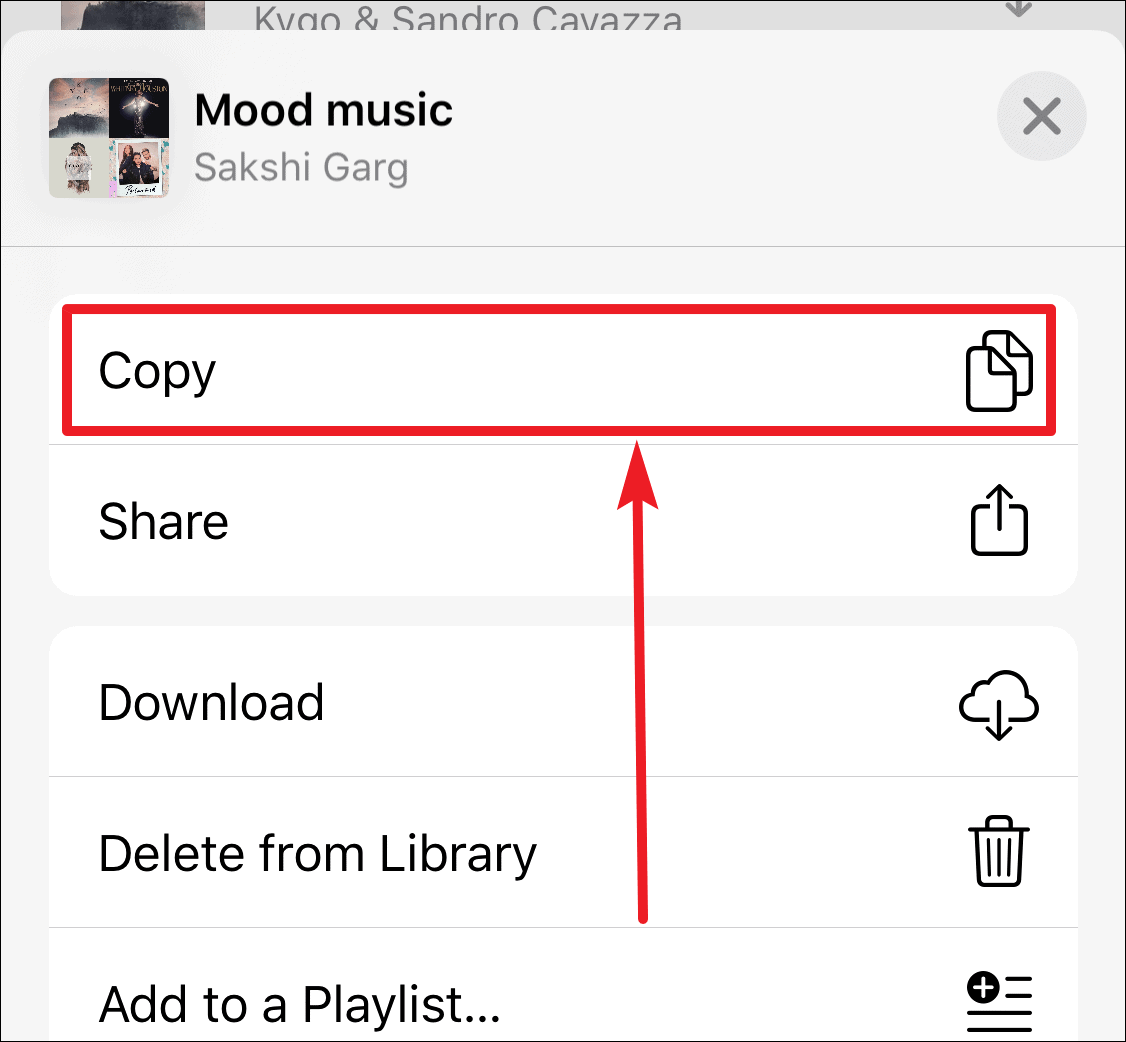 Tap on Copy to copy the link to the playlist you want to convert.