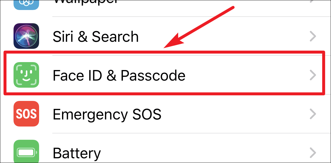 iPhone Face ID & Passcode Settings