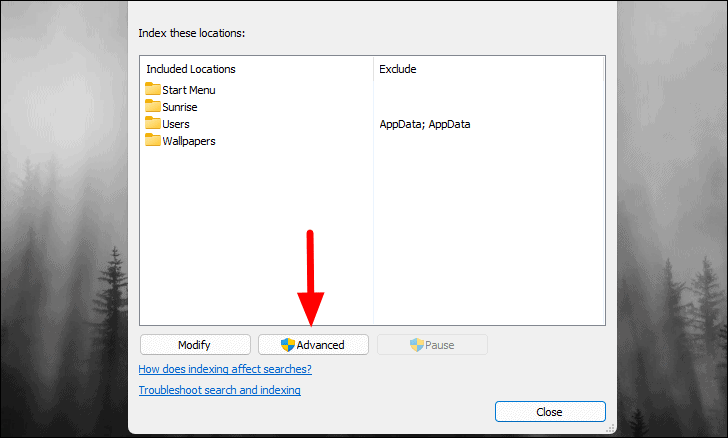 Indexing Options Advanced