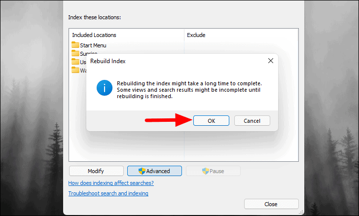 Confirm rebuild index