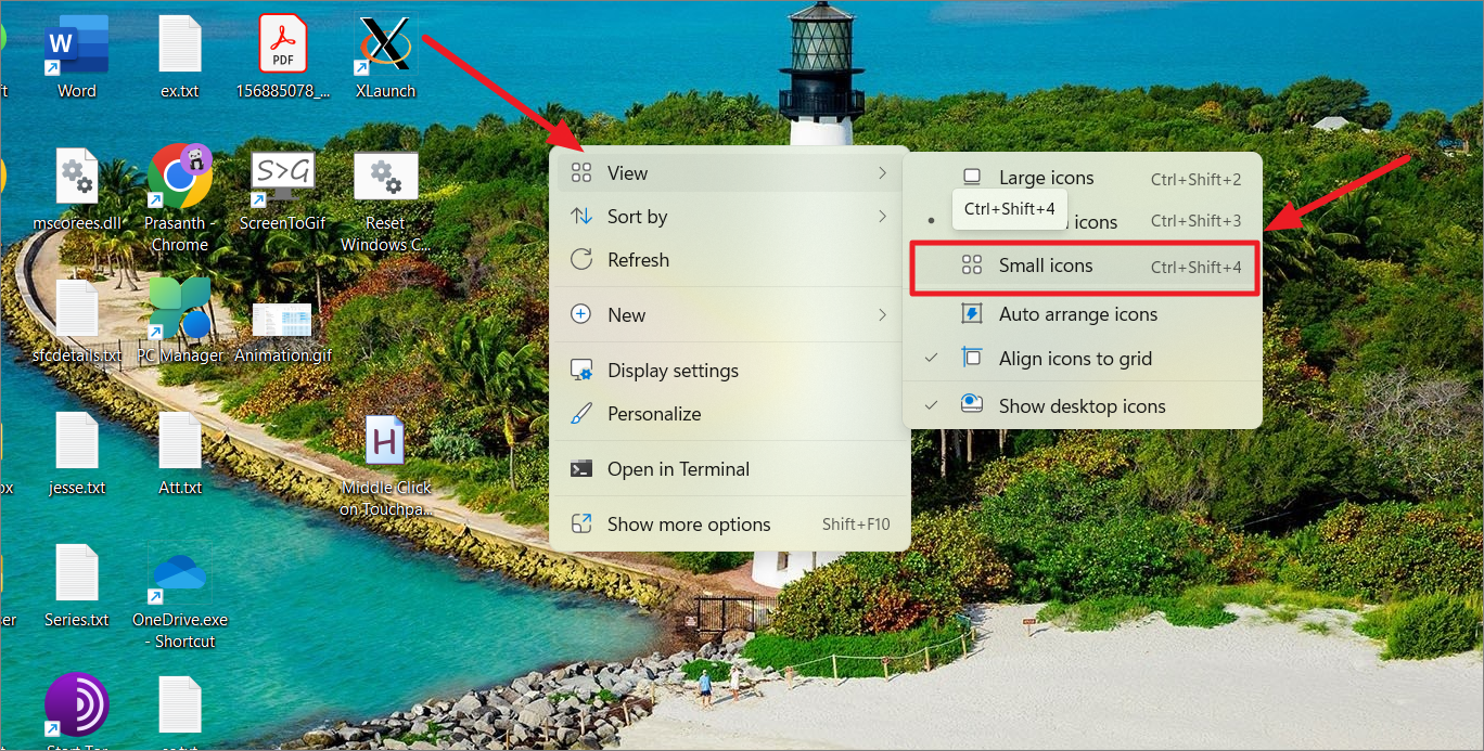 File Explorer with small icons
