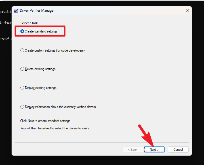 Driver Verifier options