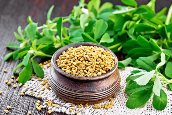 Fenugreek Seeds