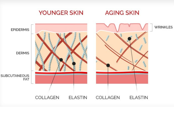 Source: Health Matters - NewYork Presbyterian