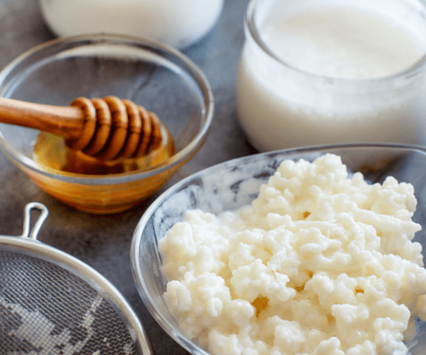 Kefir grains and fermented drink kefir
