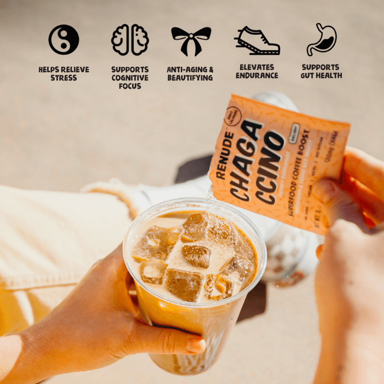 Renude Chagaccino Mushroom Coffee Mix