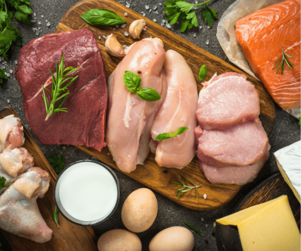 Selection of animal-based protein sources