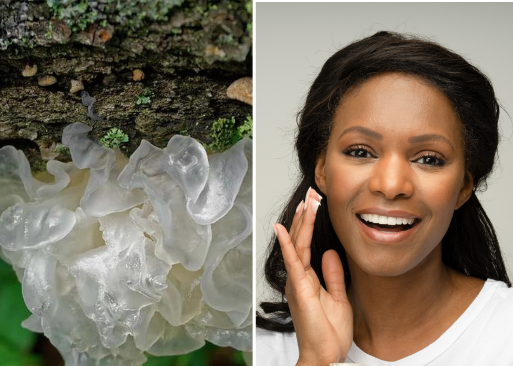 What Is Tremella Mushroom Good For