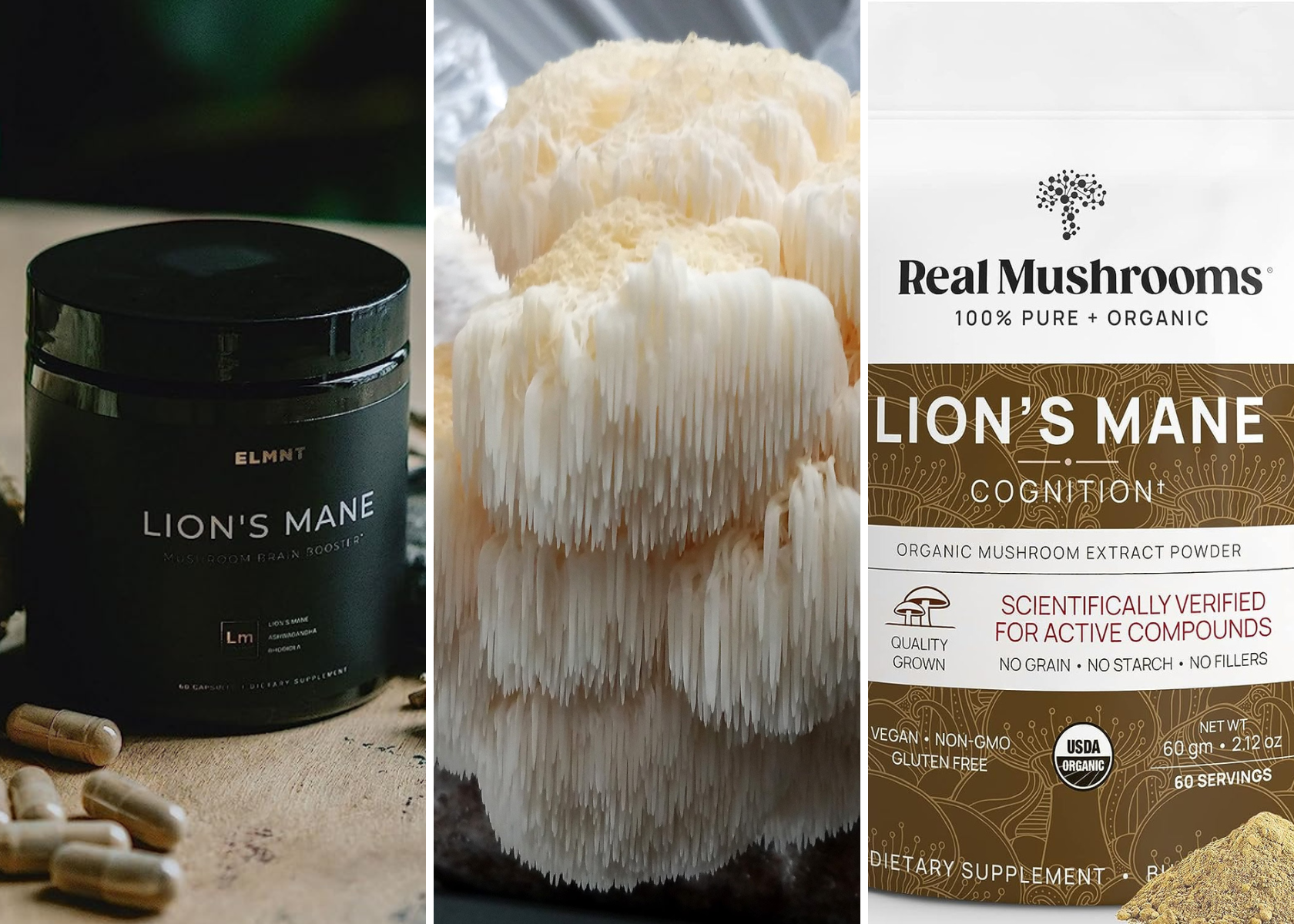 Lion's Mane Powder