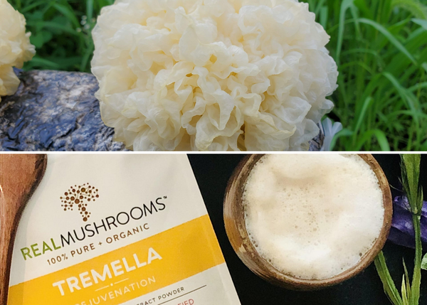 Get Ready to Level Up Your Health with Real Mushrooms' Organic Tremella Mushroom Review