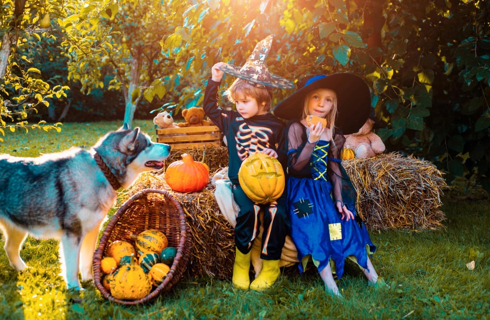 The concept of child friendship peace kindness childhood Composition of pumpkin and Halloween decorations for children in garden
