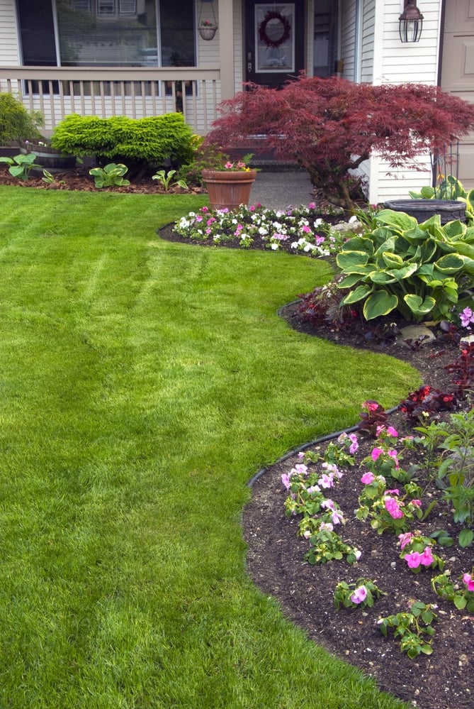 Make Your Lawn More Appealing