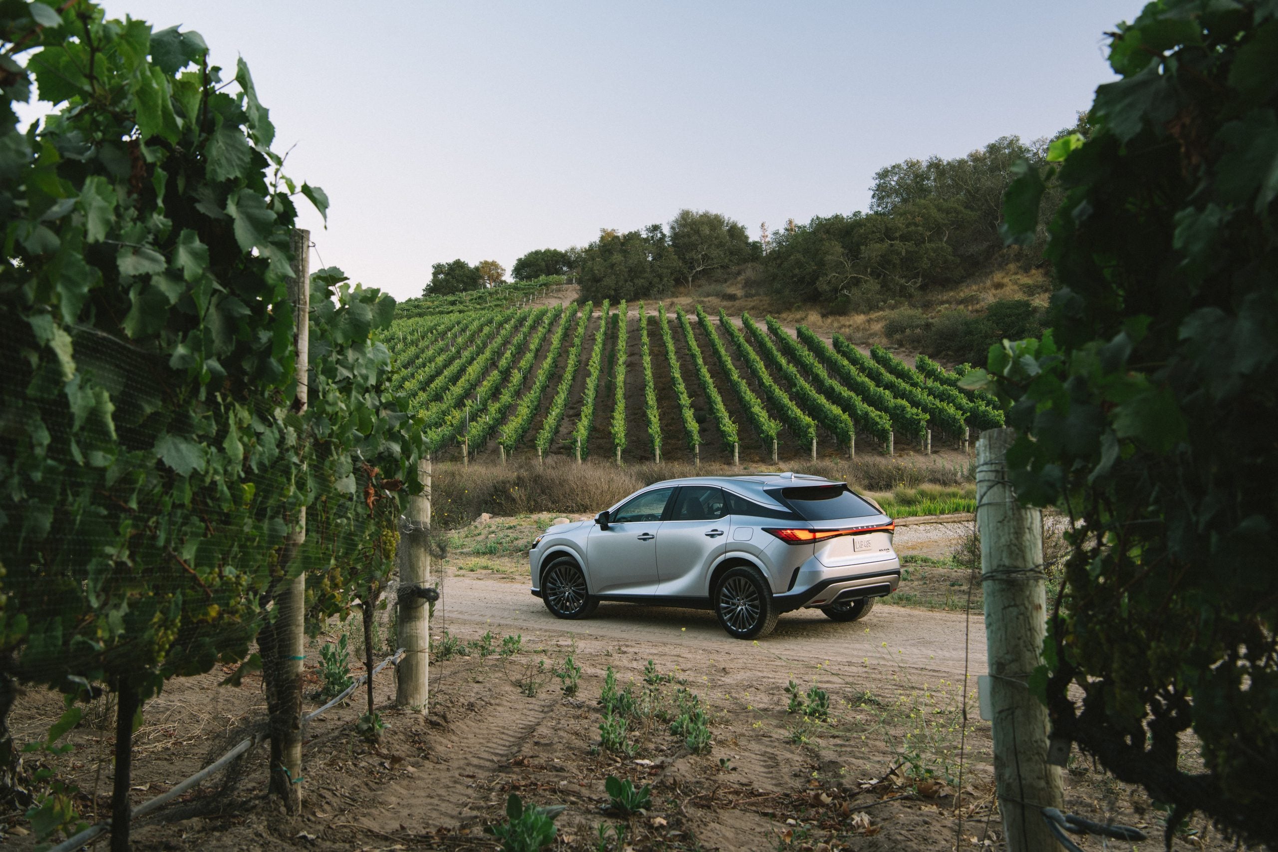 Discover the Best Features of the 2023 Lexus RX350h