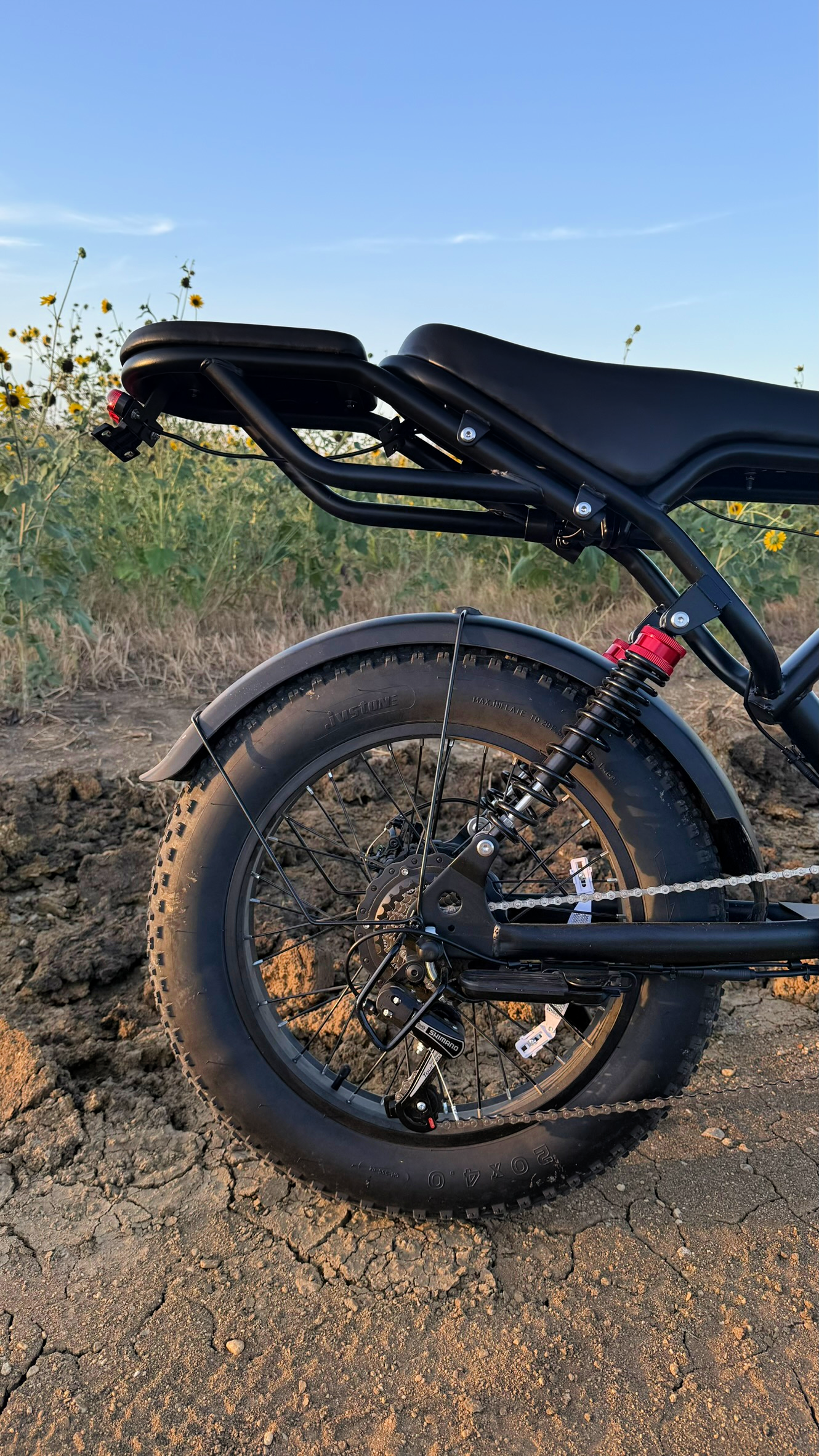 Rear coil-over suspension, disc brake, and 20x4 fat tire with full fender on a moped-style e-bike.