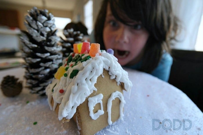 I made a Gingerbread House