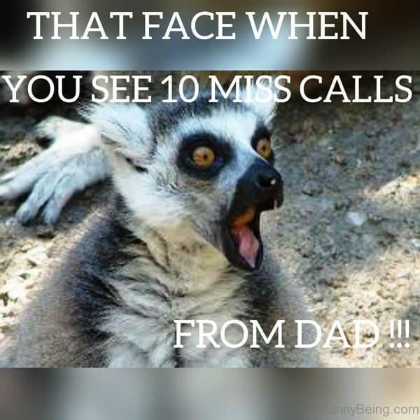 dad joke meme