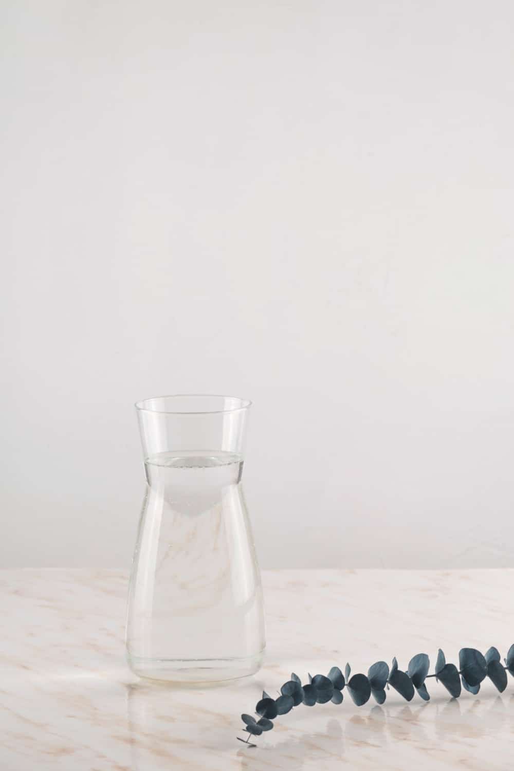 Modern water decanter with eucalyptus branches in minimalism style