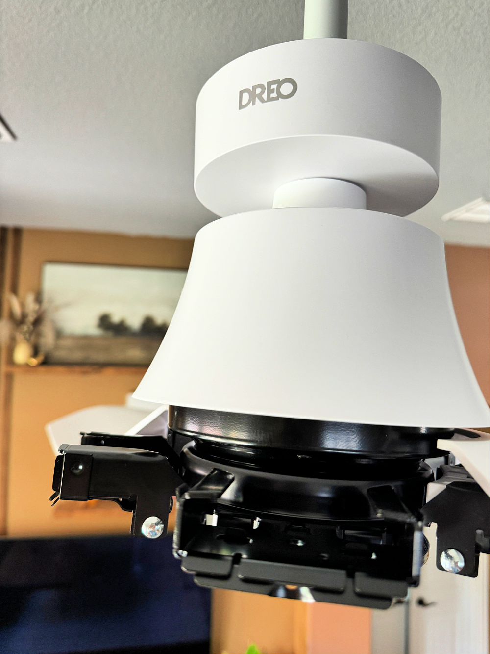 Smart Ceiling Fan Dreo