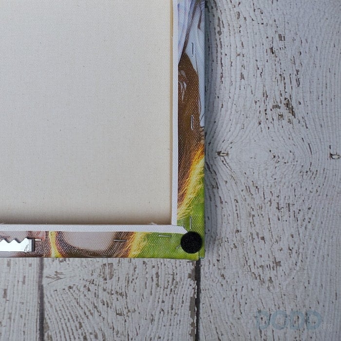 Snap to Frame Canvas Back