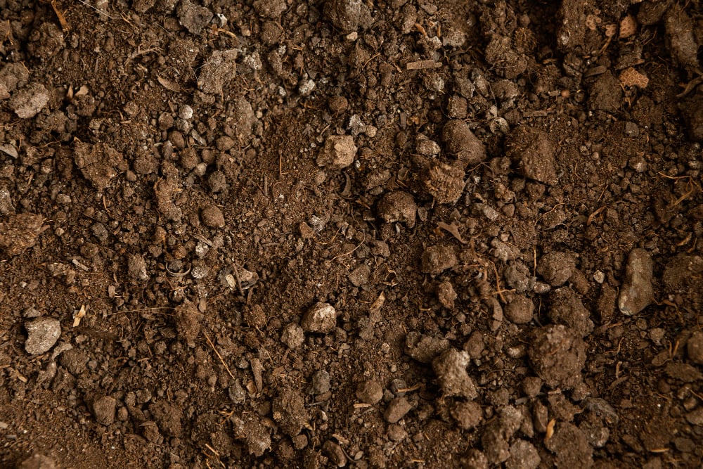 6 Tips for Selecting the Best Excavation and Earthmoving Contractor
