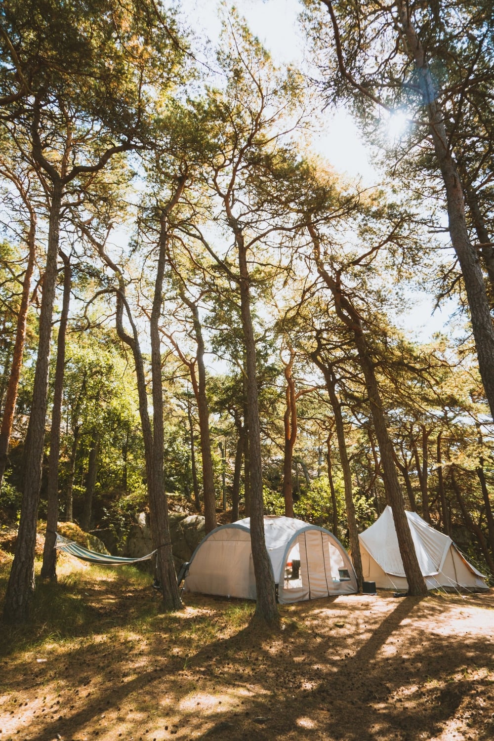 how to start a glamping business