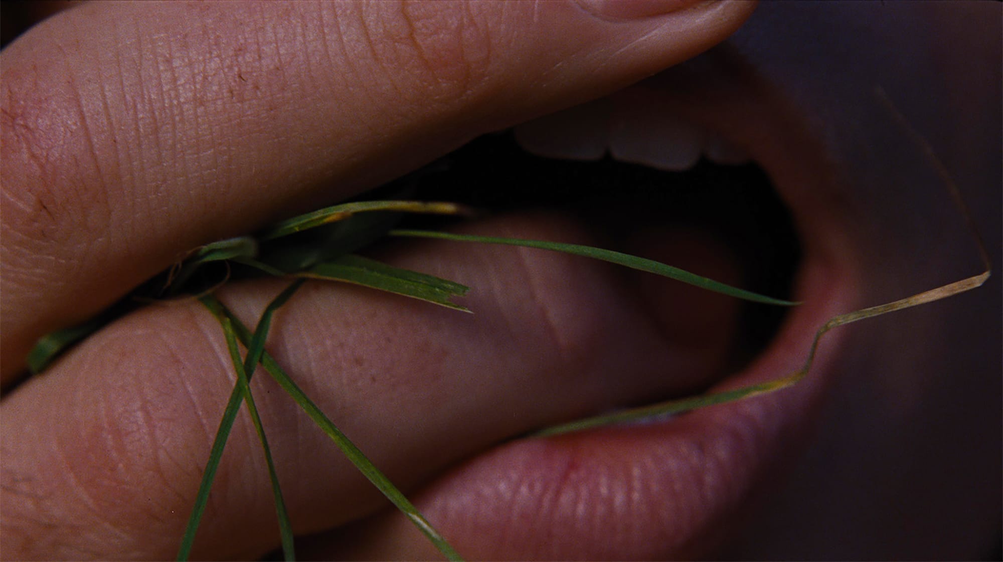 Intimate close-up scene from Wuthering Heights (2026) suggesting emotional and romantic tension without nudity or explicit sexual content.