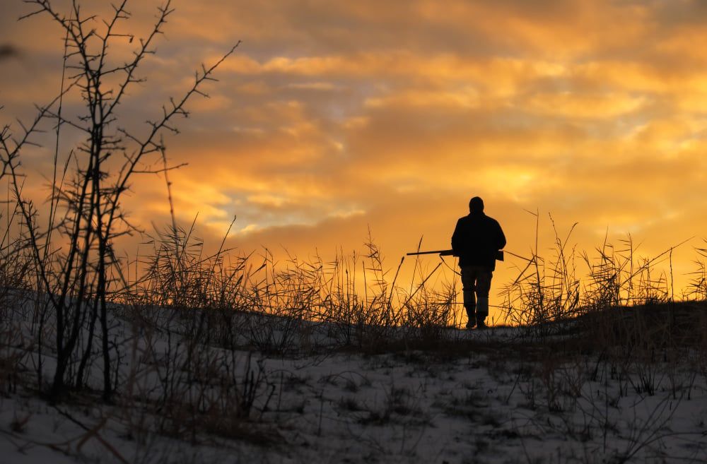 How to Hunt and Cook Venison