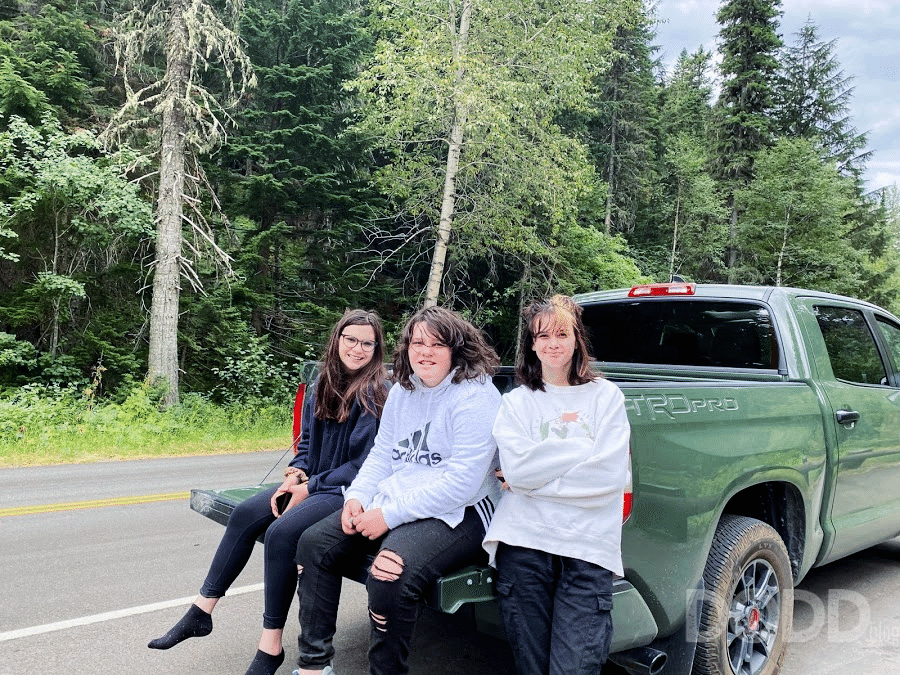 Tips for a Safe and Stress-Free Family Road Trip