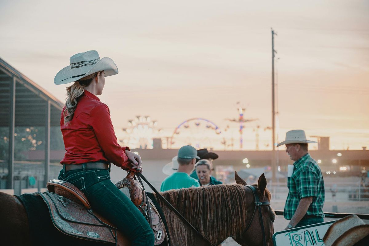 Understanding Louisiana's Roadway Laws for Horse Riders​
