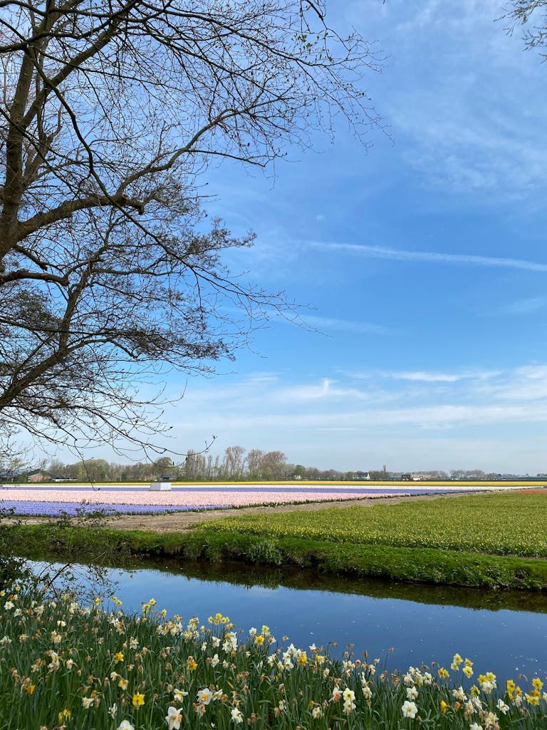 A Family-Friendly Guide to the Best Things to Do in the Netherlands