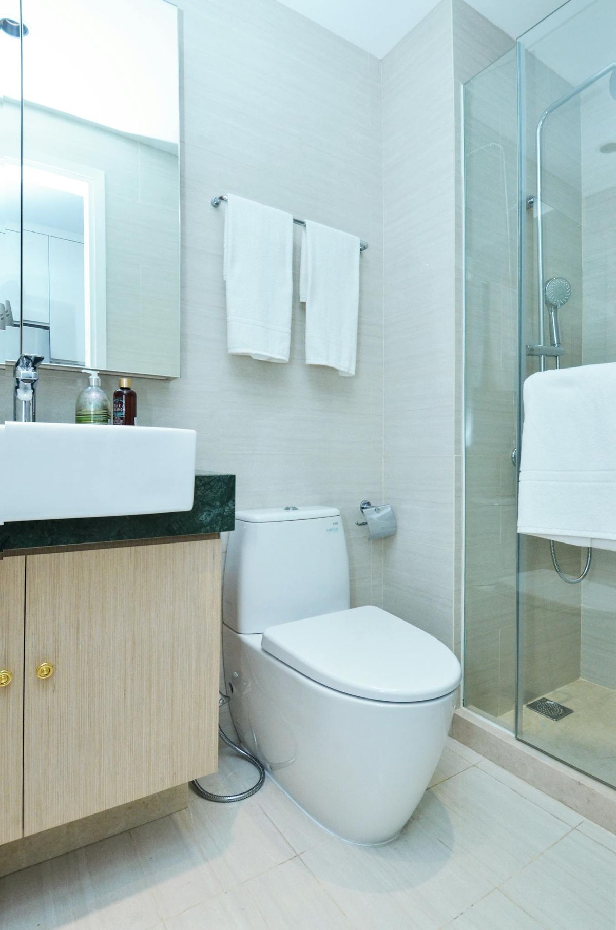 Professional Toilet Repair and Installation Experts