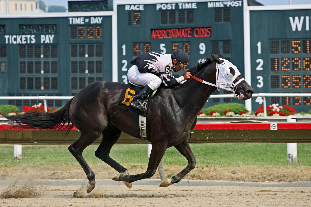California Sports Betting: A Guide for Families Who Love Watching Sports Together